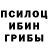 Псилоцибиновые грибы Magic Shrooms BOGDENDI
