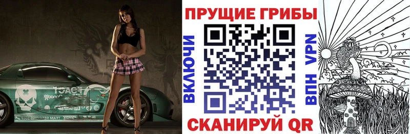 Псилоцибиновые грибы Psilocybe  Пятигорск 