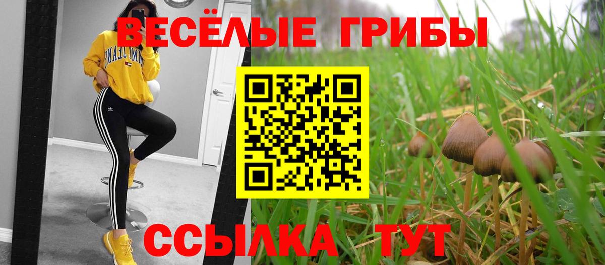 Пятигорск  Псилоцибиновые грибы Cubensis  где найти наркотики  Вход с VPN  Галлюциногенные грибы Psilocybe 